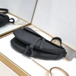 DIOR saddle frosted series saddle bag leather high-end new women's bag birthday oblique light luxury girl-comes with gift box - Image 7
