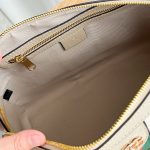 Boston handbag women's new high-end crossbody pillow bag stylish summer dress handbag for women-without packaging box - Image 19