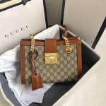 Women's  dermis bag, leather chain tote bag, women's large capacity single shoulder armpit bag, new style-without packaging box (Copy) - Image 36