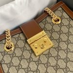 Women's  dermis bag, leather chain tote bag, women's large capacity single shoulder armpit bag, new style-without packaging box (Copy) - Image 38