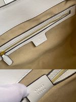 Women's  dermis bag, leather chain tote bag, women's large capacity single shoulder armpit bag, new style-without packaging box (Copy) - Image 62