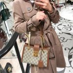 Women's  dermis bag, leather chain tote bag, women's large capacity single shoulder armpit bag, new style-without packaging box (Copy) - Image 60