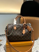 LV Pillow Bag Carrying One Shoulder Crossbody Bag without Case - Image 28