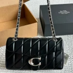 Celine Triomphe Tabby bag with box