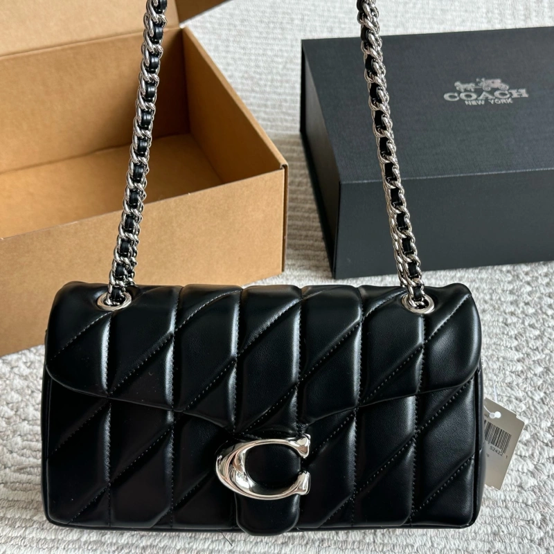 13422273153891800 Celine Triomphe Tabby bag with box - Image 1
