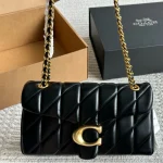 Celine Triomphe Tabby bag with box - Image 3