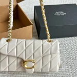 Celine Triomphe Tabby bag with box - Image 2