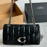 Celine Triomphe Tabby bag with box - Image 13