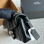 Celine Triomphe Tabby bag with box - Image 11