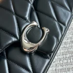 Celine Triomphe Tabby bag with box - Image 10