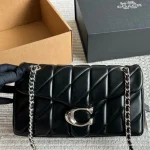 Celine Triomphe Tabby bag with box - Image 8
