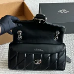 Celine Triomphe Tabby bag with box - Image 7