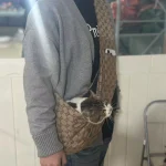 Brown carrying bag-no box - Image 2