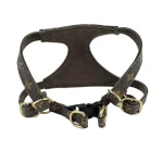 Monogram Leather Dog Harness and Collar Set-no box - Image 3