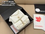 Chanel Backpack comes with a case - Image 11