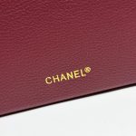 Chanel 26A LP Vanity Case Shoulder Bag(Large Size) - Image 13