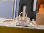 LV Speedy Handbag with Stamp Print & Detachable Crossbody Strap Small size