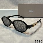 Dior Vintage Fashion Trend Prominent 3D Logo Temple Oval Lenses Sunglasses