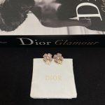 Dior new clover leaf powder enamel letter earrings - Image 13