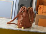 LV Noé Trunk Brown Grainy Leather Chain Bucket Bag (with Metal Corner Guards) - Image 2