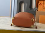 LV Noé Trunk Brown Grainy Leather Chain Bucket Bag (with Metal Corner Guards) - Image 5